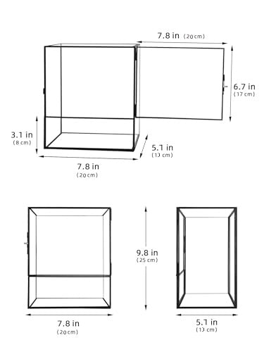 Geometric Glass Terrarium with Door - Black & Gold  Rectangle (Terrarium Only)