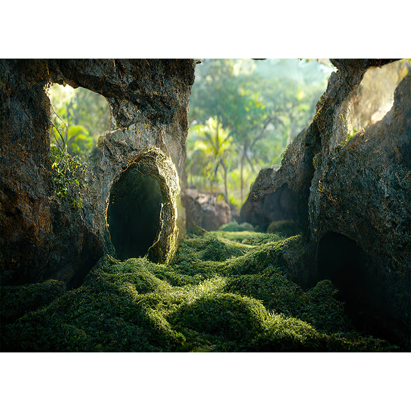 AWERT 72x24 Inches  Terrarium Background - Durable Polyester for Tropical Reptile and Aquarium
