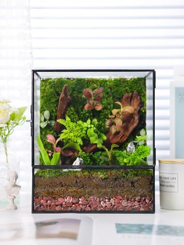 Geometric Glass Terrarium with Door - Black & Gold  Rectangle (Terrarium Only)