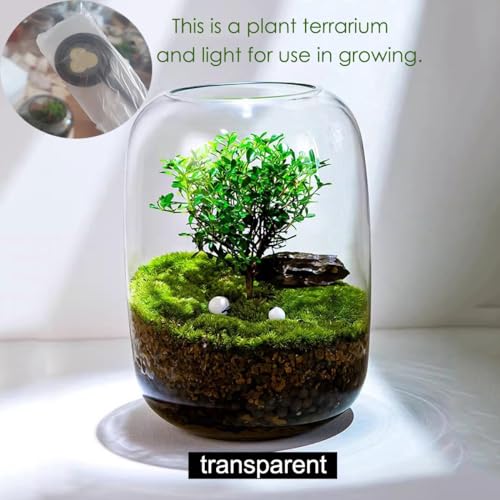 Plants Containers Office Home Ornamental Plant Glass Container Glass Plant Terrarium with LED Light Indoor Flower Pot Micro-Landscape with Grow Light Set Moss Vase Planter Terrariums (Color : Transpa