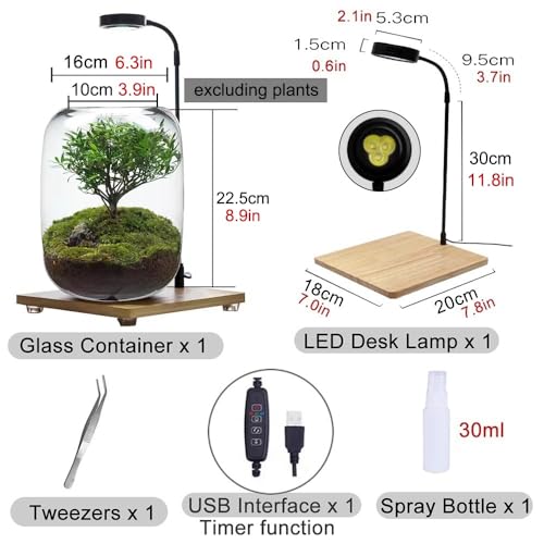 Plants Containers Office Home Ornamental Plant Glass Container Glass Plant Terrarium with LED Light Indoor Flower Pot Micro-Landscape with Grow Light Set Moss Vase Planter Terrariums (Color : Transpa