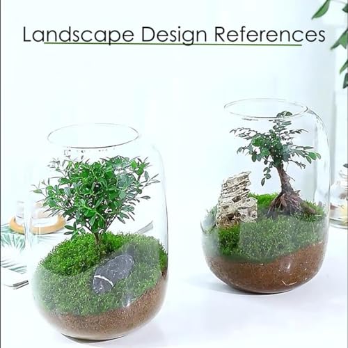 Plants Containers Office Home Ornamental Plant Glass Container Glass Plant Terrarium with LED Light Indoor Flower Pot Micro-Landscape with Grow Light Set Moss Vase Planter Terrariums (Color : Transpa