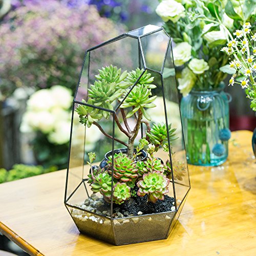 16-Inch Large Geometric Glass Terrarium - Irregular Shape, Handmade Planter for Air Plants and Succulents (No Plants Included)
