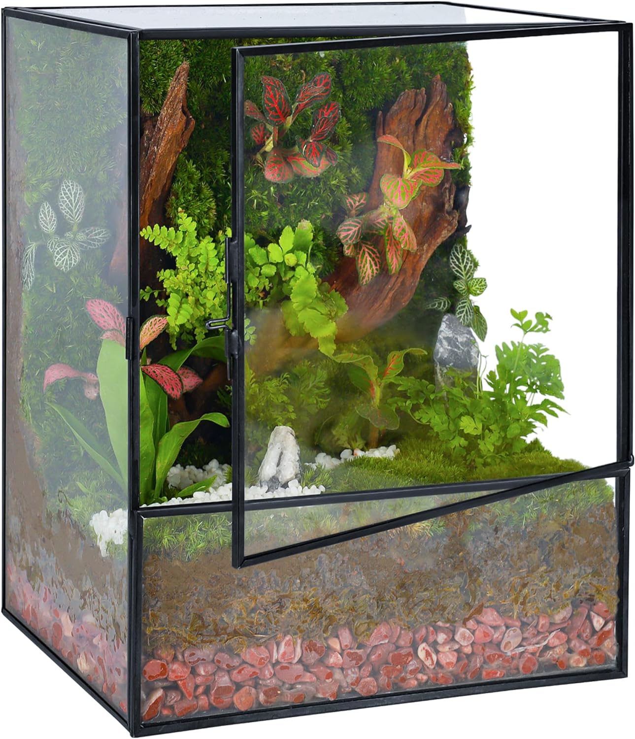 Geometric Glass Terrarium with Door - Black & Gold  Rectangle (Terrarium Only)