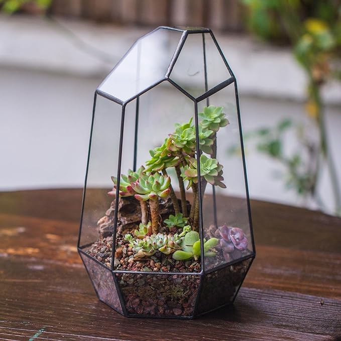 16-Inch Large Geometric Glass Terrarium - Irregular Shape, Handmade Planter for Air Plants and Succulents (No Plants Included)